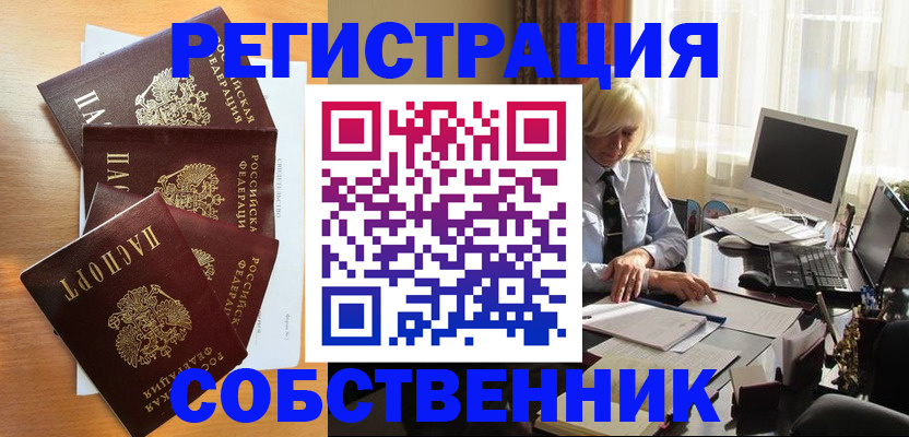 форма 3 в Камчатской области